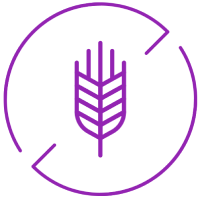 Gluten-free Icon for Provella Digestive Health Probiotic